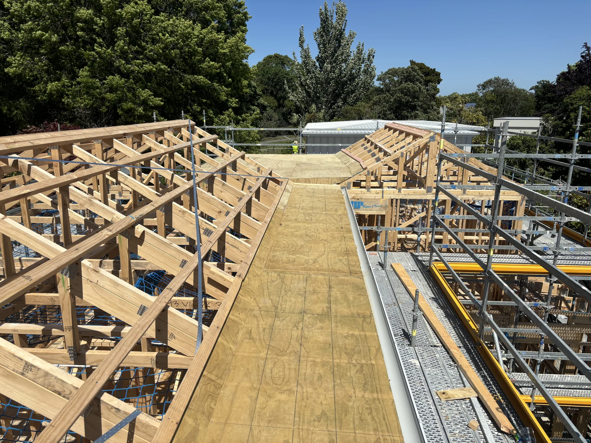 Roof truss framing and plywood sarking on a new build in Christchurch